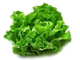 Chipotle lettuce