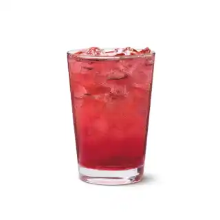 Wildberry Hibiscus Sparkling Quencher
